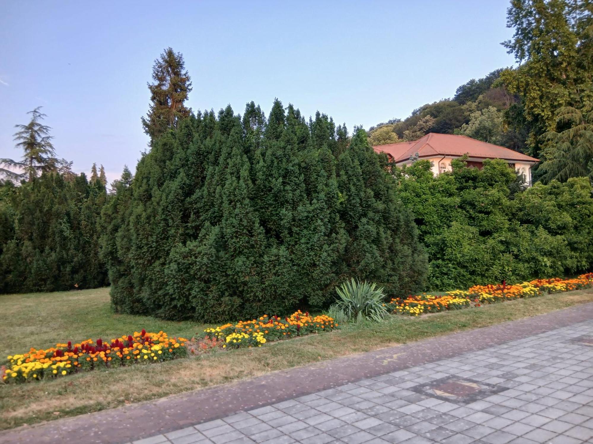 Tri Srca Apartment *